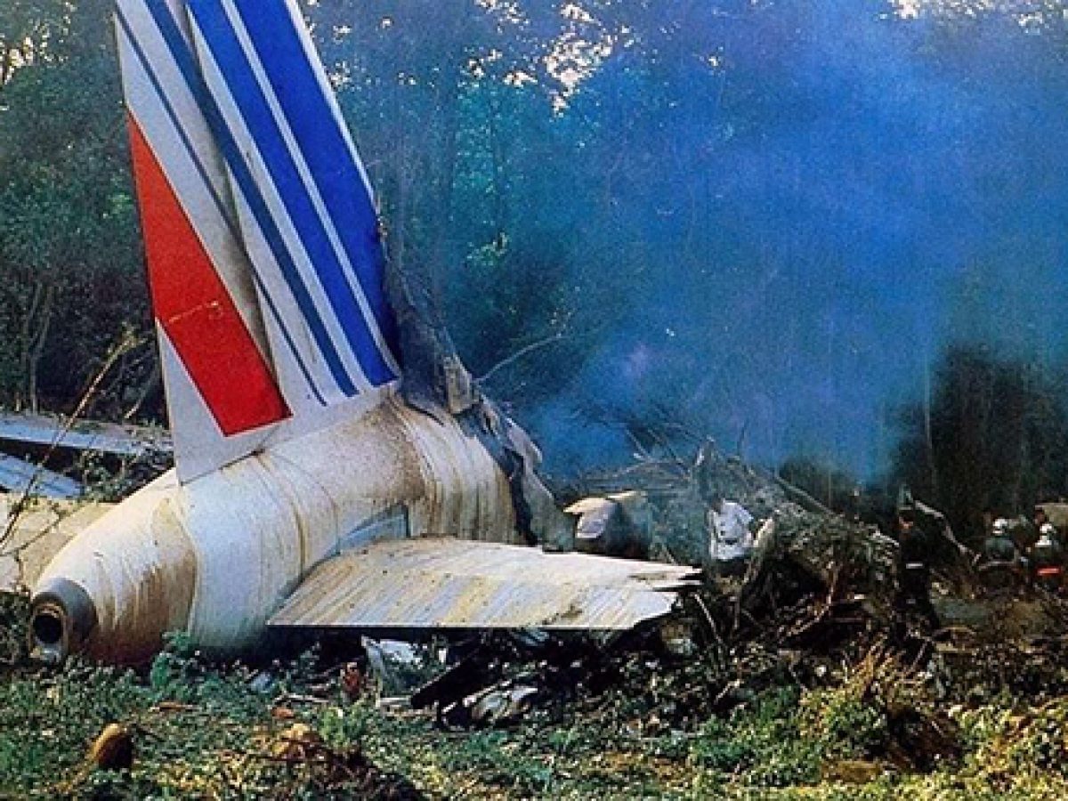 From the Vault - Today in history saw the First Fatal crash of A320 aircraft , 'Air France 296'  crashed into woods, while doing a Low pass in an airshow in 1988 !
